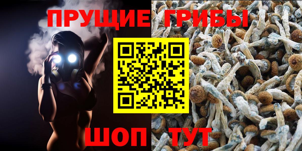 Отрадное  купить  сайты  Вход с VPN  Псилоцибиновые грибы мицелий 